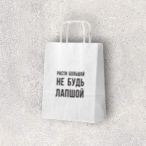 Пакет подарочный "Расти большой" 24х10,5х32 