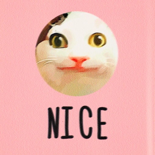 Обложка на паспорт "Nice cat" STORIZ