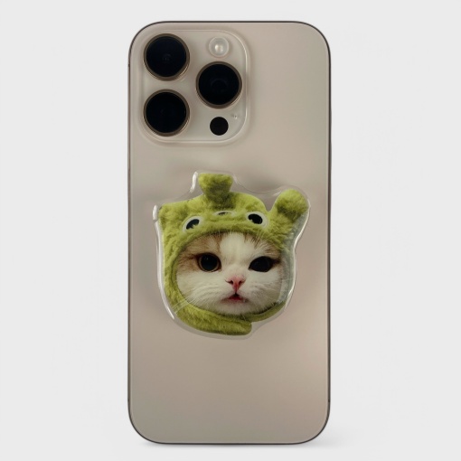 PopSocket "Котик" в зеленой шапочке