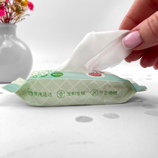 Набор влажных салфеток Mini "Watermelon Girl" (8уп. по 8шт.)