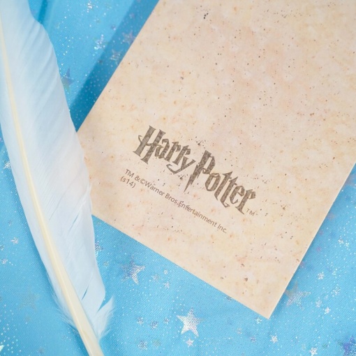 Карта-постер "Гарри Поттер" 77х22 см