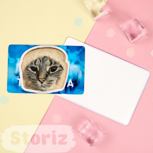Чехол для карты "Скелет" STORIZ