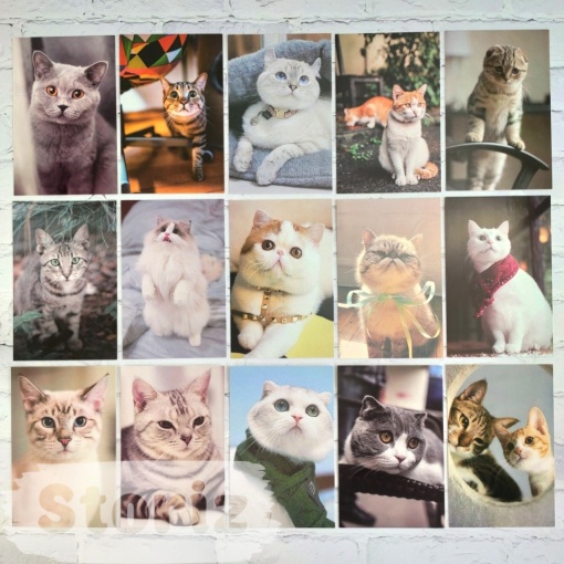 Набор открыток "Cats"