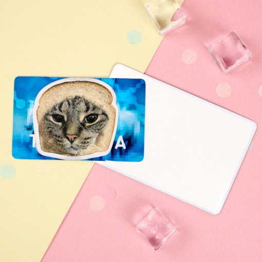 Чехол для карты "Тоторо" STORIZ