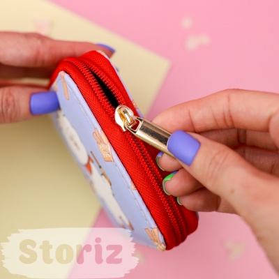 Мини-кошелек "BT21" RJ №6