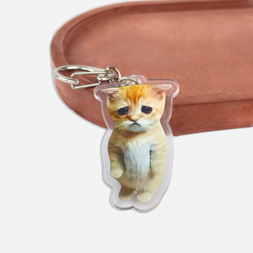 Брелок акриловый "Mur cat" грустный котик