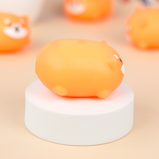 Сквош "Сиба-Ину"