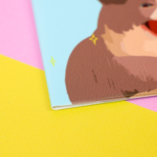 Обложка на паспорт "Ааа!" Cat, STORIZ